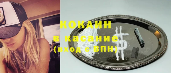прущие грибы Мегион