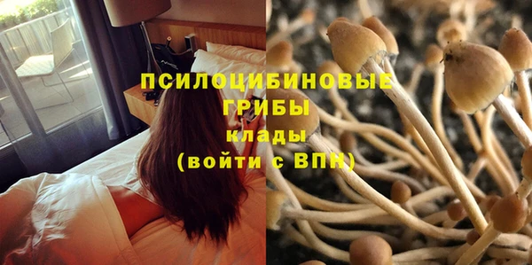 mdma Майский