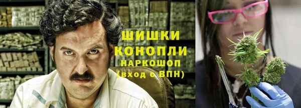 прущий лед Новозыбков