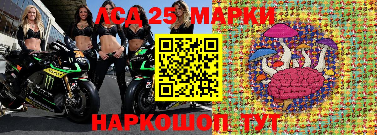 Наркотические марки 1,5мг  Вход с VPN  Кумертау  Наркотические марки 1,5мг 