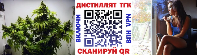 omg ссылка Кумертау Дистиллят ТГК THC oil