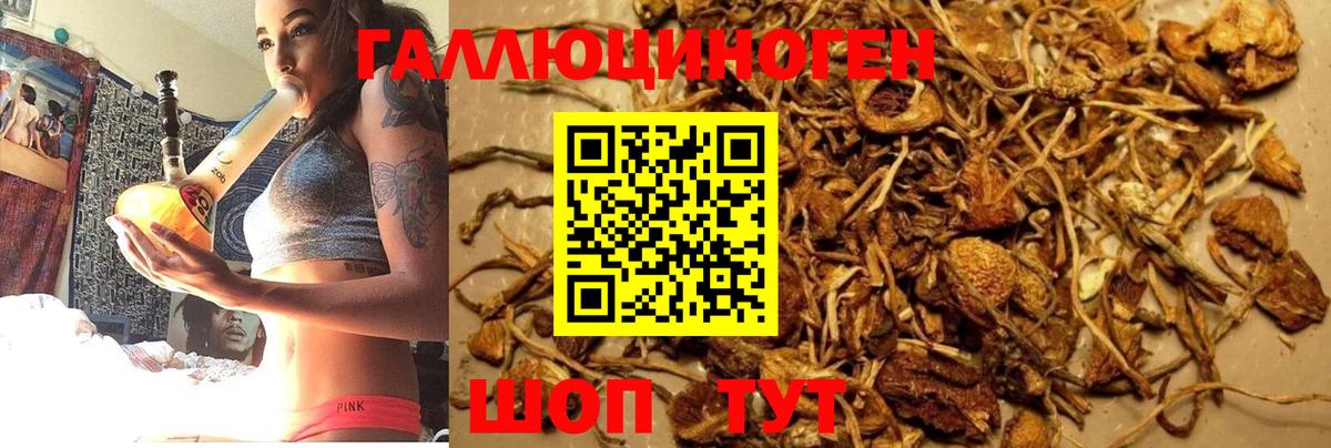 Псилоцибиновые грибы Magic Shrooms Кумертау