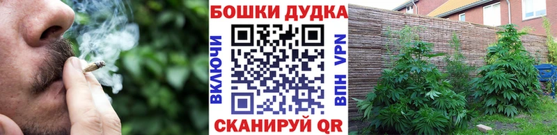 Шишки марихуана Bruce Banner Кумертау